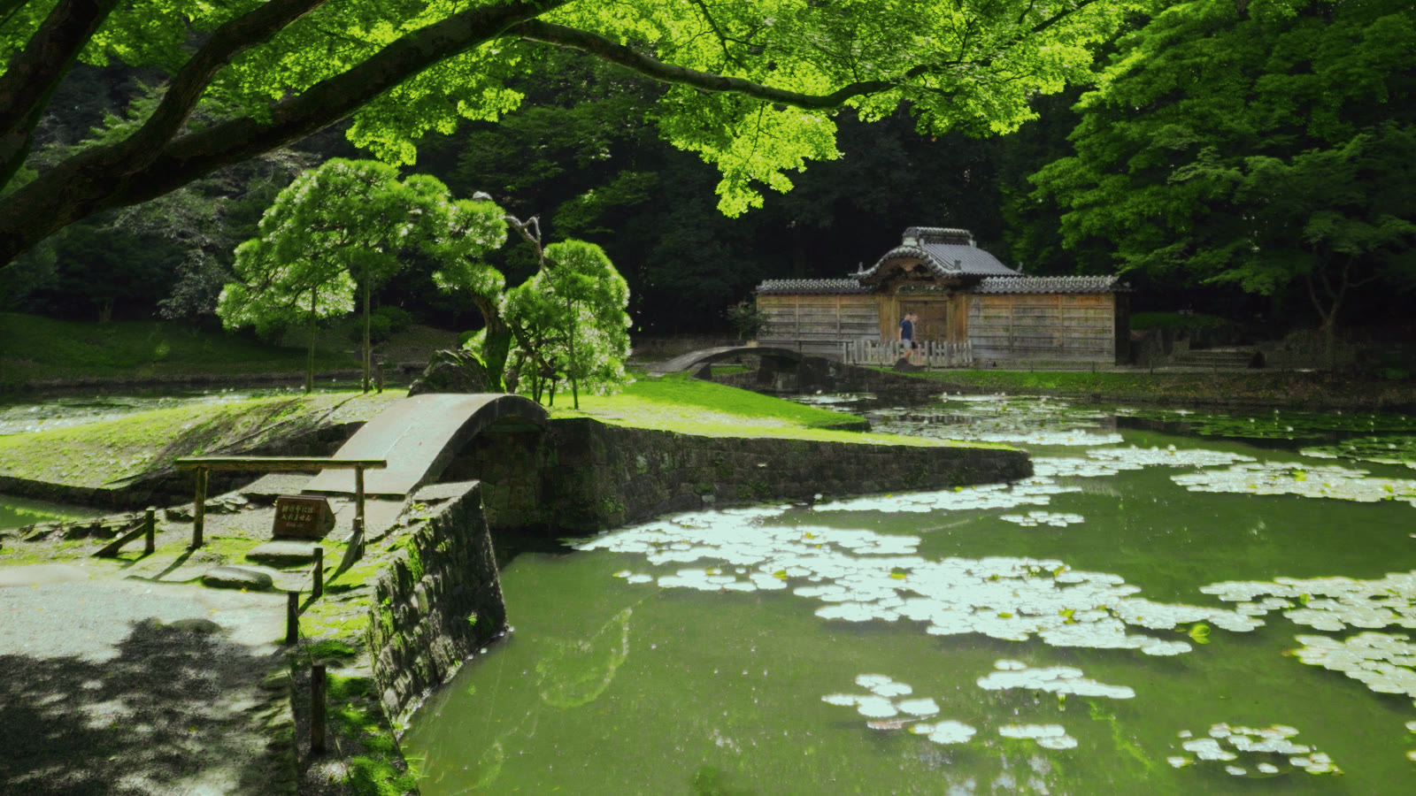 The same garden through the Matcha LUT: lime maple leaves, jade water, deep green-black shade and pale mint lily pads